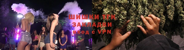 крисы Бородино