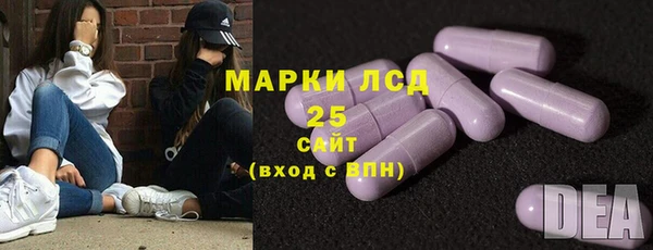 крисы Бородино