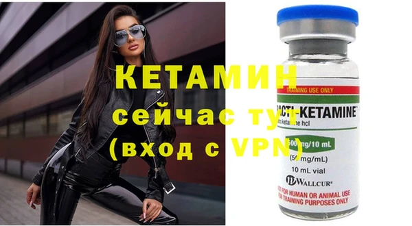 крисы Бородино
