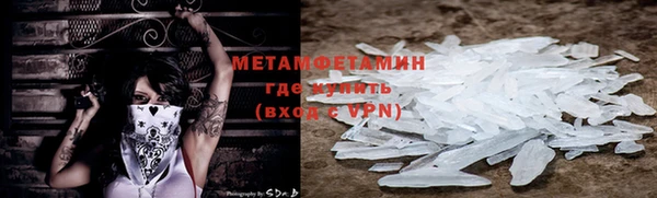 крисы Бородино