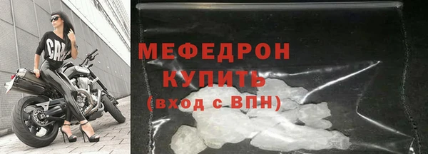 крисы Бородино