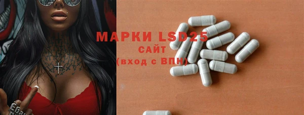 крисы Бородино