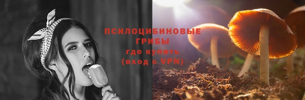 стаф Белокуриха