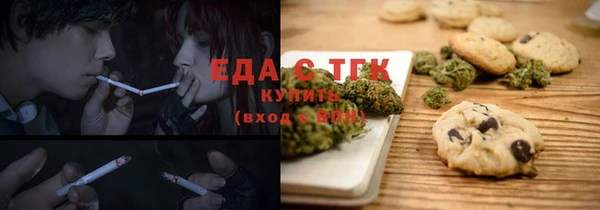 крисы Бородино