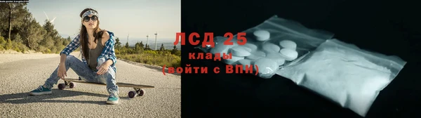крисы Бородино