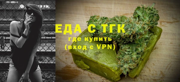 крисы Бородино