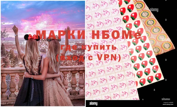 крисы Бородино