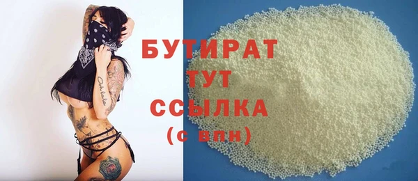 крисы Бородино