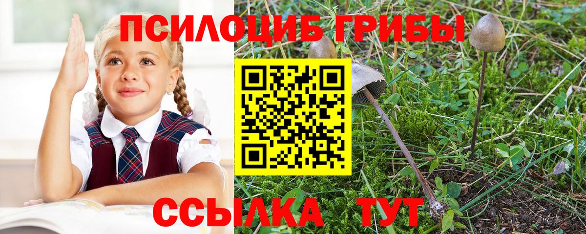 Псилоцибиновые грибы GOLDEN TEACHER Дагестанские Огни