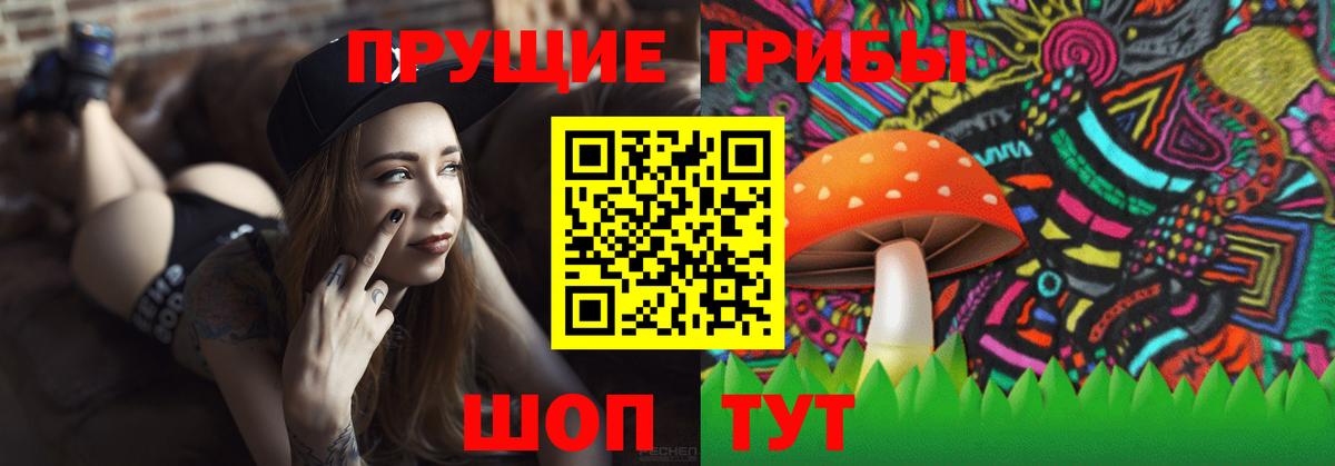 Галлюциногенные грибы Psilocybe  Вход с VPN  Псилоцибиновые грибы Psilocybine cubensis  Дагестанские Огни 